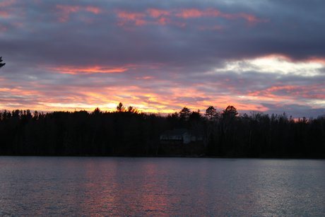 Corvette Marty nudes star img