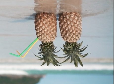 hairy vagina onlyfans perfect photos