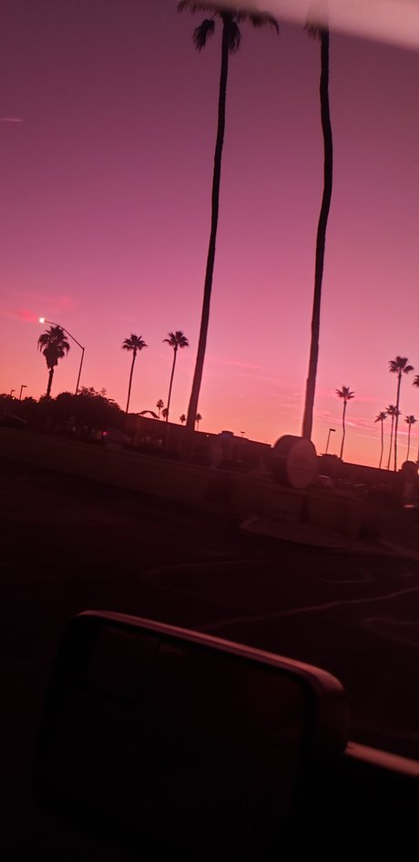 Bill Dill free star img