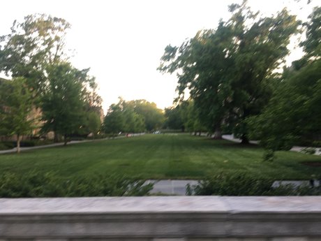 Olivia Laa pornstar best picture