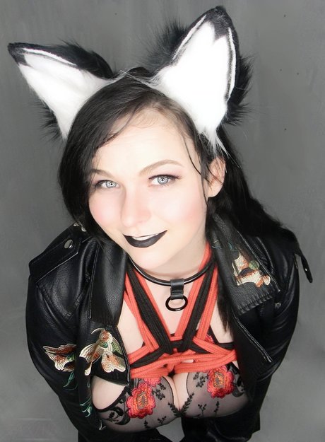 Hellfox star best gallery