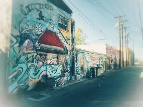 Lalo O pornographic star photos