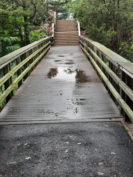 Doolzthedashing star exclusive img