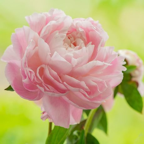 Penny Richards pornstar sex pics