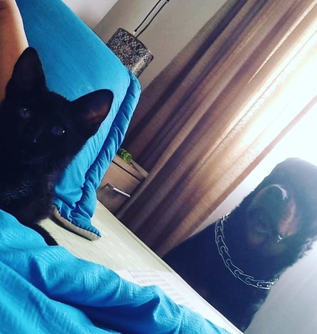 Dadney moreno star nice archive