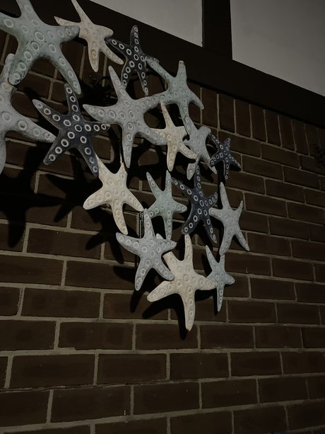 Dig Bick beautiful model images