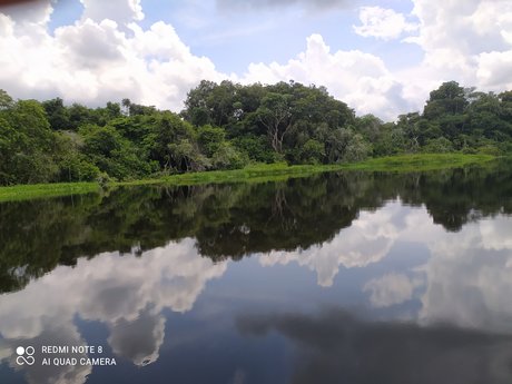 Alvaro Suarez beautiful actress galleries