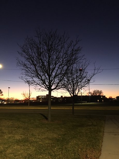 Aloys Yeh high quality star image