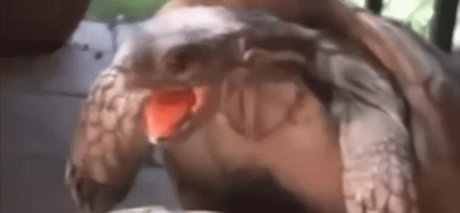 Chupacabra star hot pic