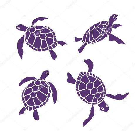 Riley Redding adult star photo