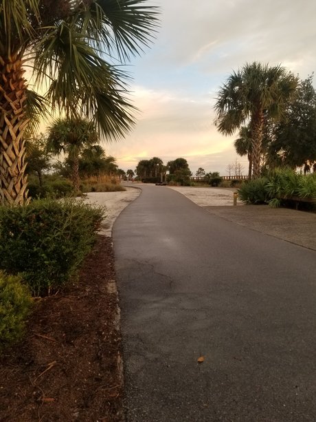 Chase Perkins sex actress photos