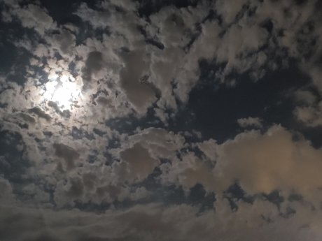 LittleD beautiful star images