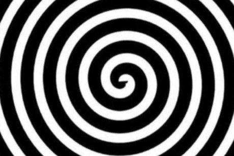 Hothoneypot sexy star img