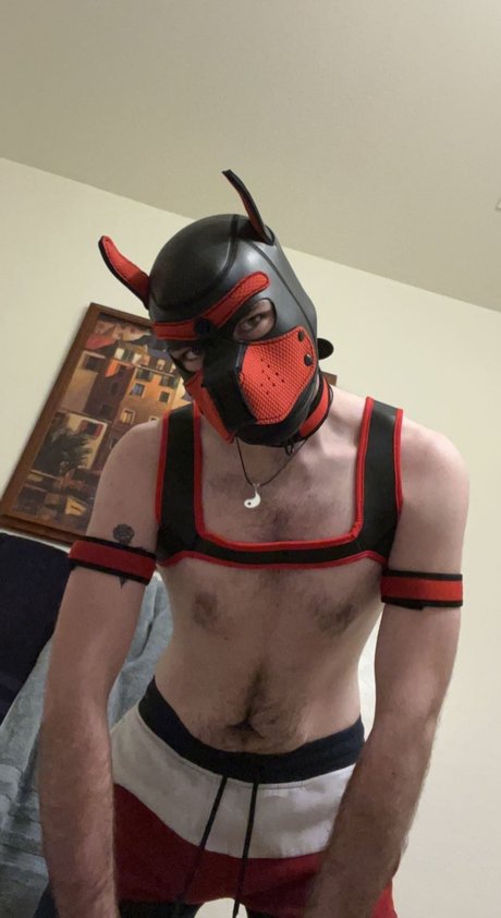 Willy D pornstar xxx photos