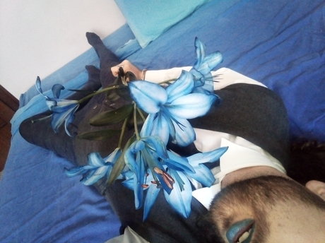 Dire Need model images