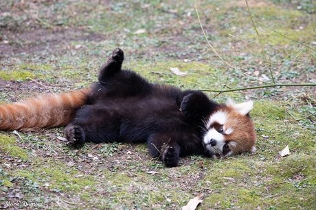 worthlessholes sex actress pic