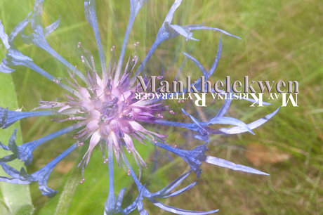 Mankhelekwen naked model photos