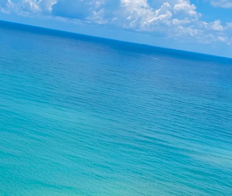 leigha best star galleries