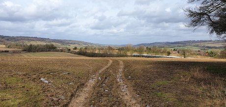 Oli Jason art pornstar picture