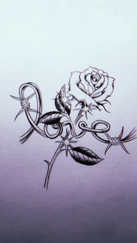 white mocha exclusive star galleries