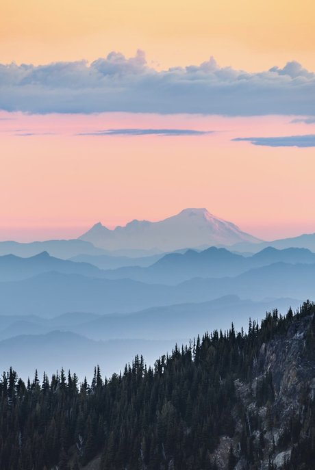 Sunni Daze pretty model image