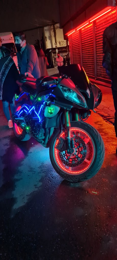 Joseph Haygen star pornographic gallery