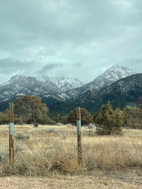 Summer StaRR exclusive star picture