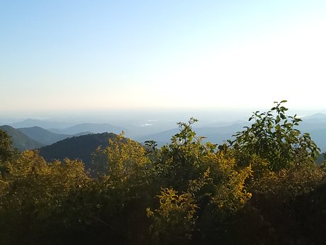 The Wild Fae model pornographic galleries