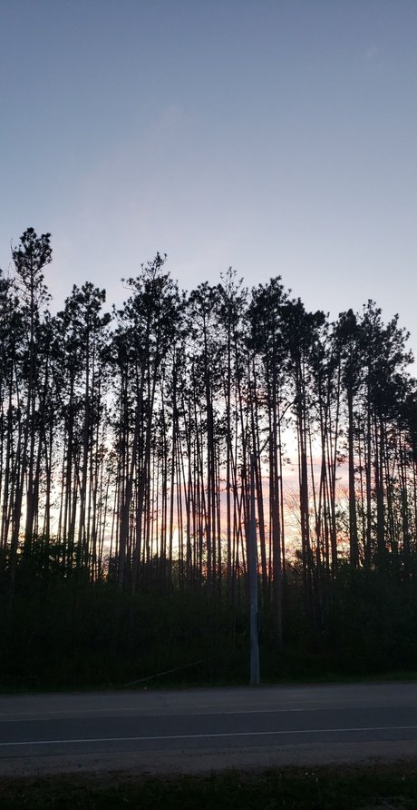 Alli Rose best actress picture