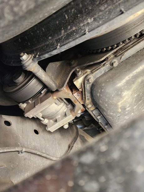 muscle girls onlyfans nice archive