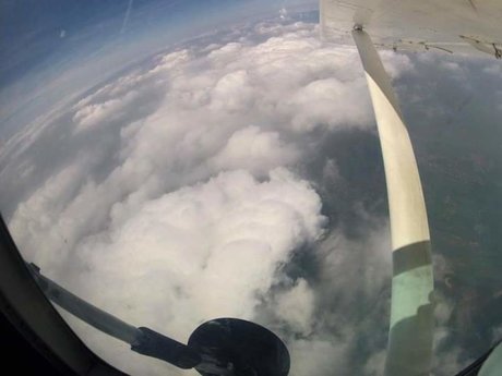 Wolfy 69 free star img