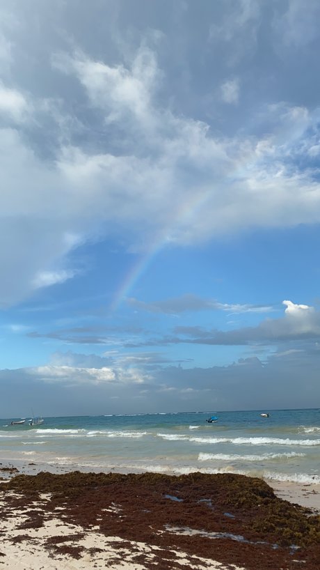 TRAIN WITH ALI pornographic model img