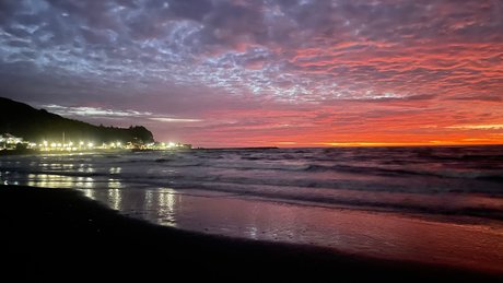 EVAN HARVEY star porn galleries