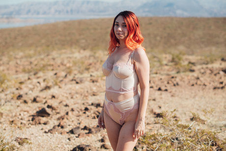 Tayler Texas porn star img