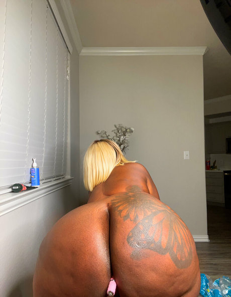 therealfyebottom top pornstar galleries