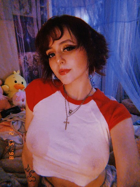 Kweh star high quality photo