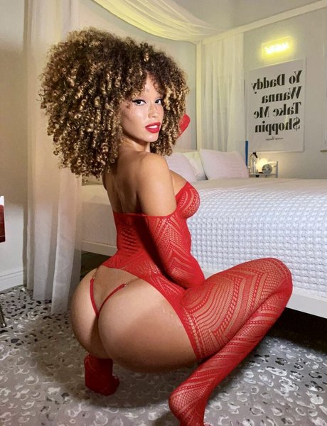 Catdagreat star images