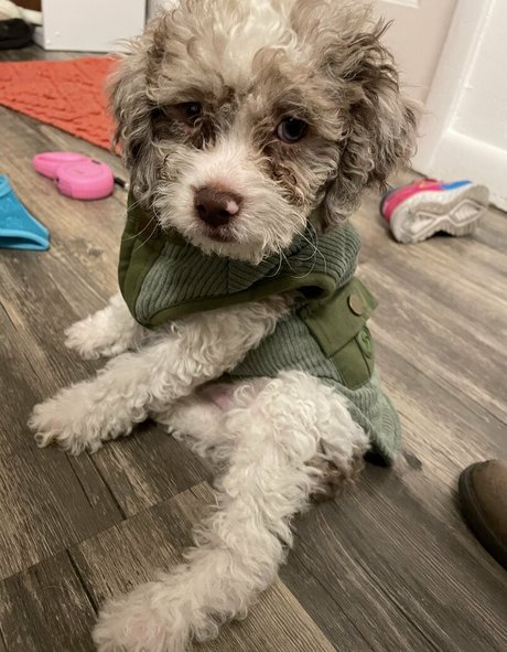 blowbang onlyfans naked pic