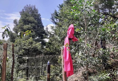 MakyMakys exclusive actress picture