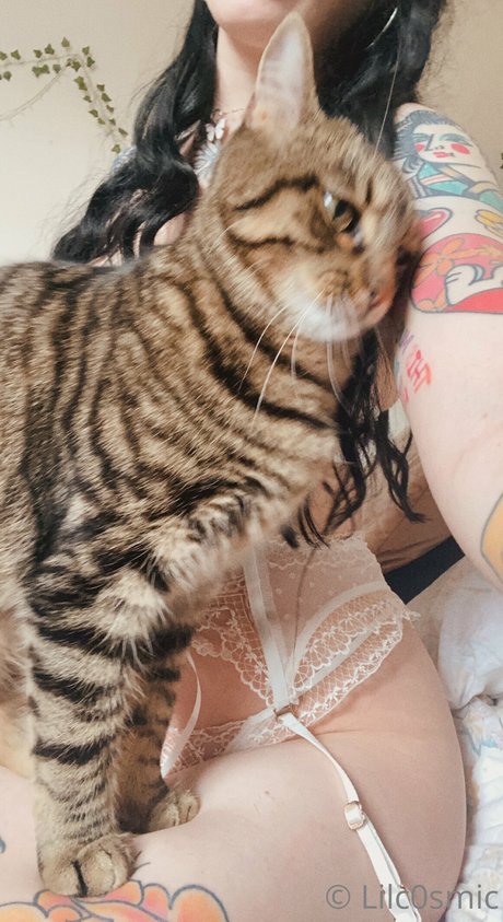 CosmicCreatures star beautiful galleries