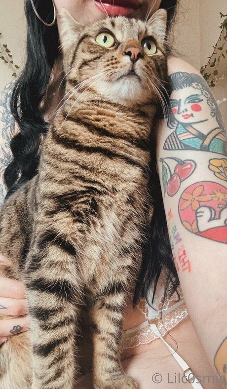 CosmicCreatures nude pornstar picture