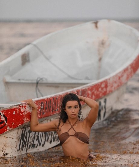 Jesenia Echeverria star art image