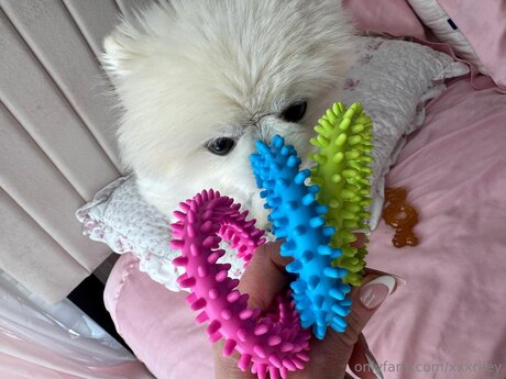 xxxriley star erotic pic