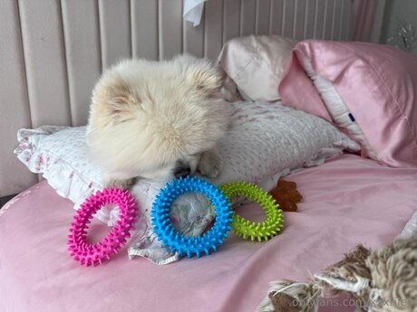 xxxriley xxx actress photos