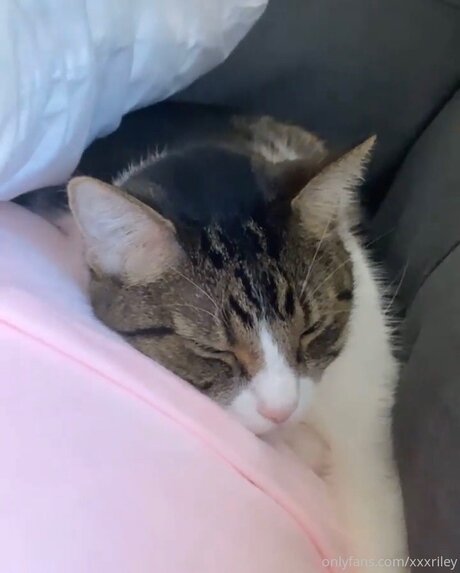 xxxriley star sexy img