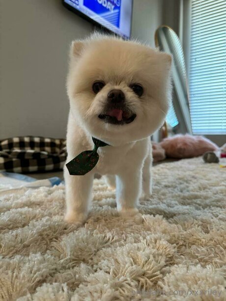 xxxriley star high quality picture