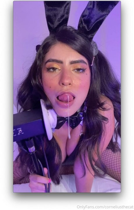 corneliusthecat star high quality archive