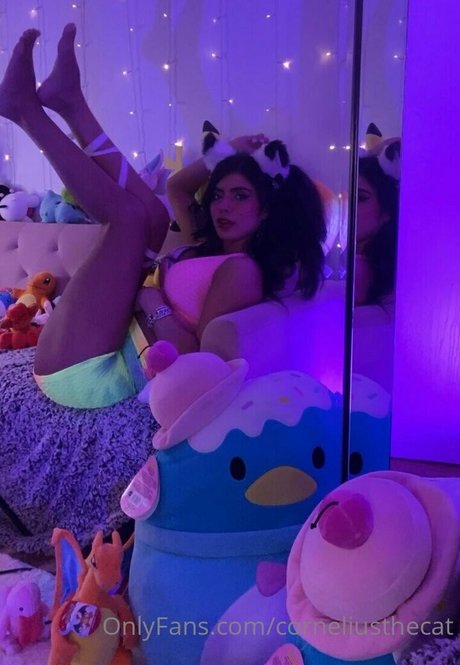 corneliusthecat pornstar adult pics