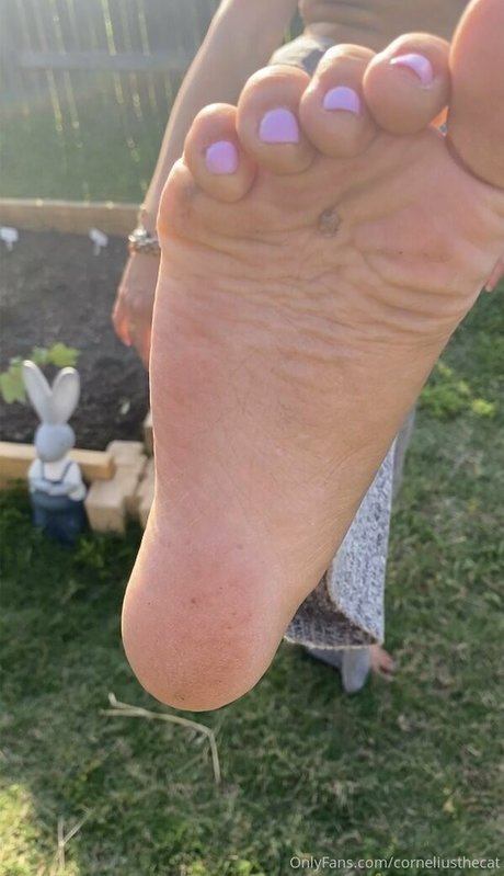 corneliusthecat nude pornstar picture