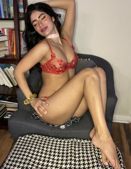 corneliusthecat hot star gallery